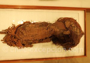 Momies au Musée Régional d'Iquique