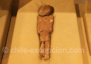 Musée Régional d'Iquique Momie de foetus
