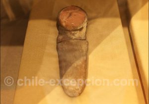 Musée Régional d'Iquique Momie de foetus