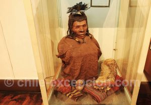 Musée Régional d'Iquique Habitant de Bajo Molle