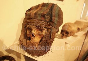 Musée Régional d'Iquique Déformations craniennes