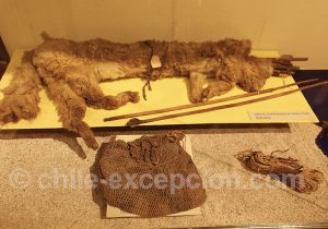 Musée Régional d'Iquique Carquois