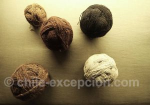 Musée Régional d'Iquique Pelotes de laine d'alpaga