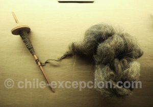 Musée Régional d'Iquique Toison d'alpaga