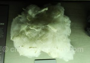 Musée Régional d'Iquique Laine