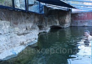 Baignade dans le bassin à 35 degres