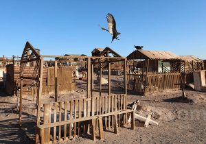 Cimetière Pampino de Victoria, ancienne mine de salpêtre, Chili