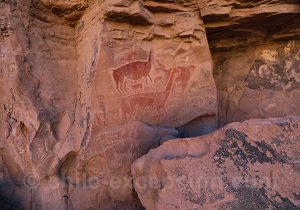 Peintures rupestres, Taira