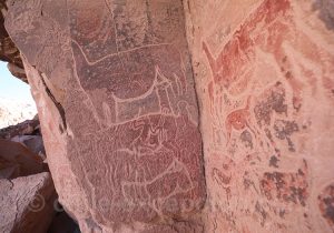 Figures représentant des lamas