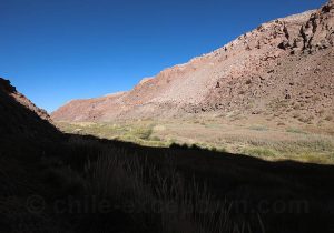 Taira, vallée Alto El Loa