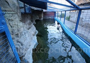 Thermes de Chusmiza avec bassin à 35 degres