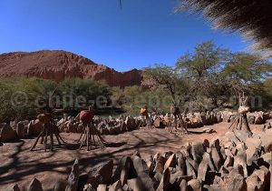 Hotel Alto Atacama, jardin