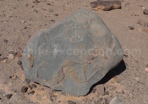 Pierre pétroglyphe Calartoco