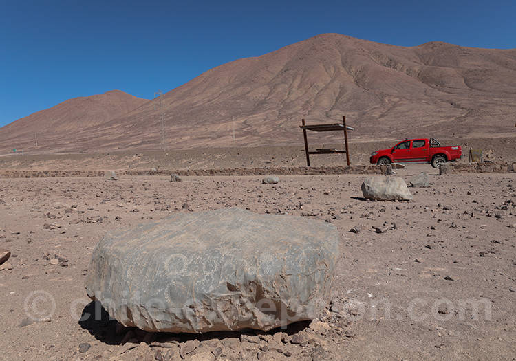 Excursion site de Calartoco Excursion site de Calartoco