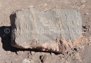 Pétroglyphes de Calartoco