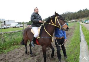 cavalier sur sa monture carrera a la chilena