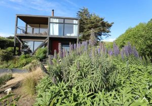 côte chilienne de La Vega de Pupuy